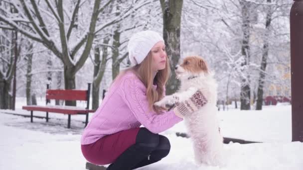 Jack russel terrier Dog And Young Woman Playing In Snow Covered Park Slow Motion 4K shot. concept of pets love