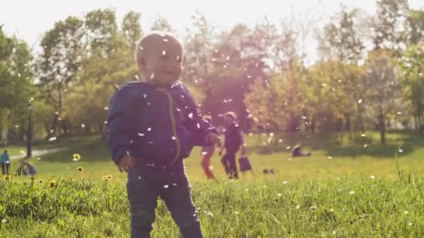 Piękny chłopiec ubrany w niebieską kurtkę patrzy na spadające płatki kwiatów jabłoni i uśmiecha się w wiosennym, słonecznym parku miejskim z drzewami i jasnym słońcem na tle. 4k powolny film wideo. — Wideo stockowe