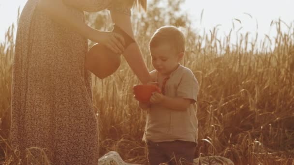 Семейная атмосфера, веселая женщина с малышом наливают молоко в бокалы и пьют во время семейного пикника и наслаждаются отдыхом на открытом воздухе в поле вблизи. 3d-рендеринг — стоковое видео