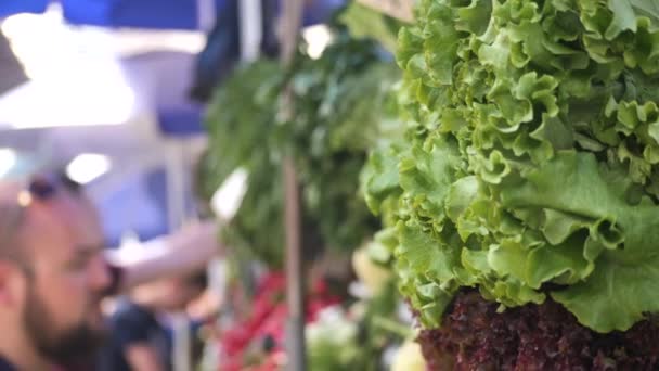 Ensalada y otras zonas verdes están tumbados en el mostrador en el mercado de la ciudad en el día de verano y un hombre borroso irreconocible comprarlo en un fondo, de cerca ver video en cámara lenta en 4K — Vídeos de Stock