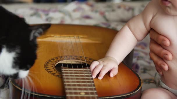 Little baby boy is sitting near a vintage acoustic guitar and touches strings and black white cat is sits nearby. Children and animals concept. Front view medium shot in 4K video — 비디오