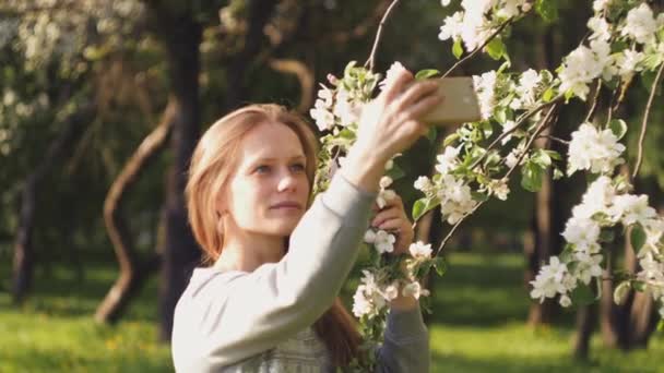 Біла красива дівчина на фоні квітучих дерев робить селфі. позитивний жіночий фон — стокове відео