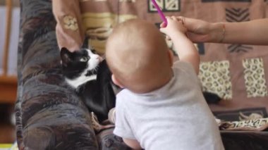 Küçük bebek kanepede sırtüstü uzanmış siyah beyaz kediyle dalga geçiyor ve oynuyor. İnsanlar ve hayvanlar konsepti. 4k video içinde arka plan orta görüntüsü.