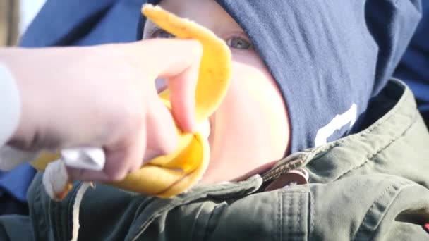 Bellissimo bambino nutrito con banana. 4k UHD — Video Stock