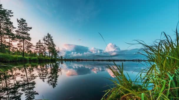 Vacker sommar solnedgång timelapse skott av skog sjö med moln på horisonten som reflekteras i lugnt vatten. pittoreska landskap bakgrund som skönhet i naturen koncept. Tidsförskjutning 4k video. — Stockvideo