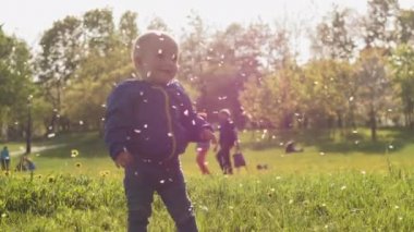 Mavi ceketli güzel erkek bebek düşen elma ağacı yapraklarına bakıyor ve arka planda ağaçlar ve parlak güneş ışığıyla güneşli bir şehir parkında gülümsüyor. 4k ağır çekim videosu.
