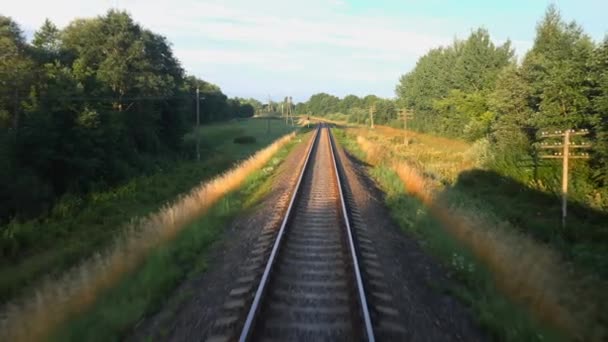 Vue arrière du chemin de fer et d'une belle nature verdoyante depuis un train passant sur un terrain rural. Voyage en chemin de fer ou concept de tourisme ferroviaire. Ralentir la vue arrière vidéo 4K . — Video