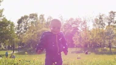 Parkta güneşin altında bir bebek. Çiçek açan bir ağacın yapraklarının uçuşunu izle