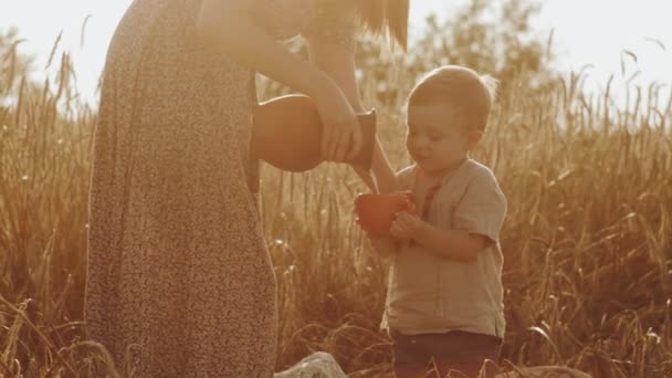 Mom with son in national costumes in the field. A mother pours milk into a cup for her baby. The concept of family values. 3d render — Stock Video