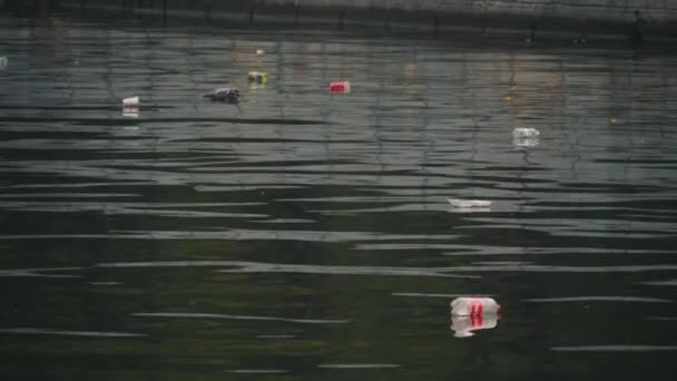 Τα σκουπίδια επιπλέουν στο κανάλι της πόλης. Περιβαλλοντική ρύπανση — Αρχείο Βίντεο