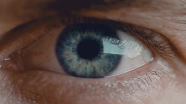 Young man beautiful blue eye iris and pupil resizing when exposed to light. Healthy eyesight concept. Front view close up video in 4K. — Stock Video