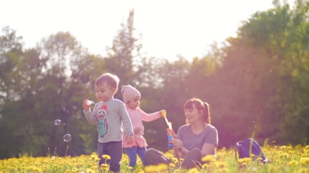 Preciosa madre con hijo e hija en el parque soplar burbujas. El concepto de valores familiares. Familia amable, cuidado de los padres. 4K. Movimiento lento — Vídeos de Stock