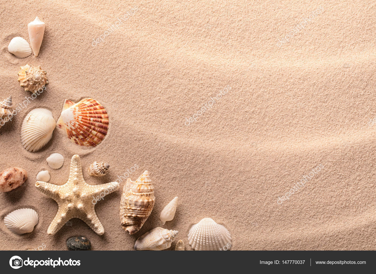 Beach Sand Shells Images – Browse 285,638 Stock Photos, Vectors