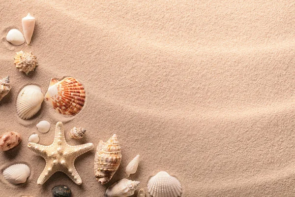Παραλία το καλοκαίρι άμμο με κοχύλια — Φωτογραφία Αρχείου