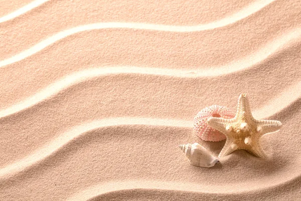 Tropische starfish opleggen van strand zand — Stockfoto