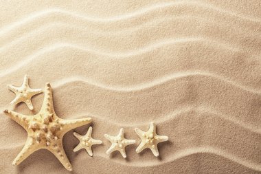 tropikal deniz yıldızı döşeme plaj kumu