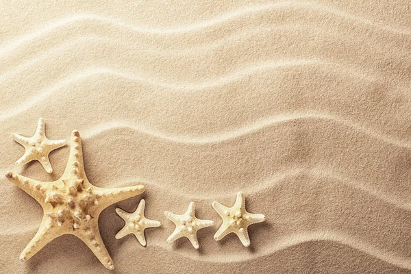 Estrelas-do-mar tropicais deitadas na areia da praia — Fotografia de Stock