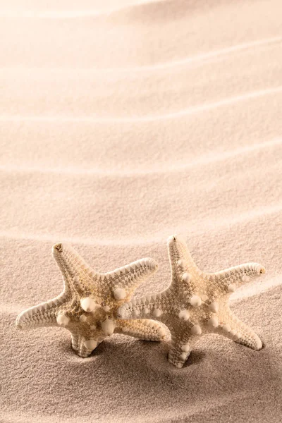 Αστερίες στέκεται στην αμμουδιά — Φωτογραφία Αρχείου