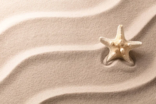 Αστερίες ή αστέρι στη θάλασσα κυματισμένη καθορισμός άμμο — Φωτογραφία Αρχείου