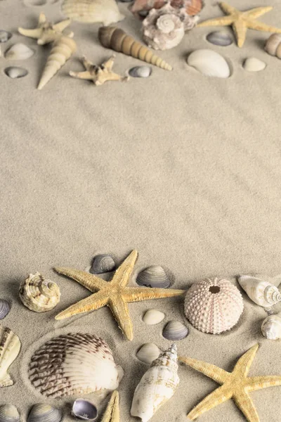 Αστερίες και seafish στην άμμο — Φωτογραφία Αρχείου