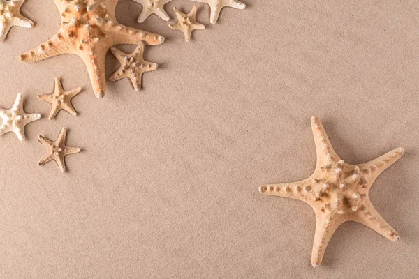 toplama-in deniz yıldız