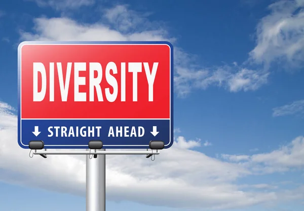 Diversity Road Sign Cloudy Sky Background — Stock Photo, Image