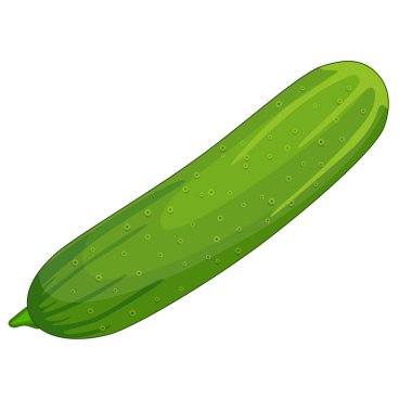 taze salatalık sebze izole simgesi