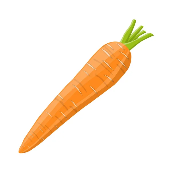 Karottengemüse isoliert auf weiß. — Stockvektor