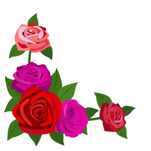 Rosas rojas con hojas aisladas sobre un fondo blanco — Vector de stock