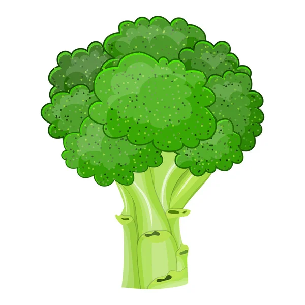 Fresh Vegetable broccoli isolated icon — Stock Vector