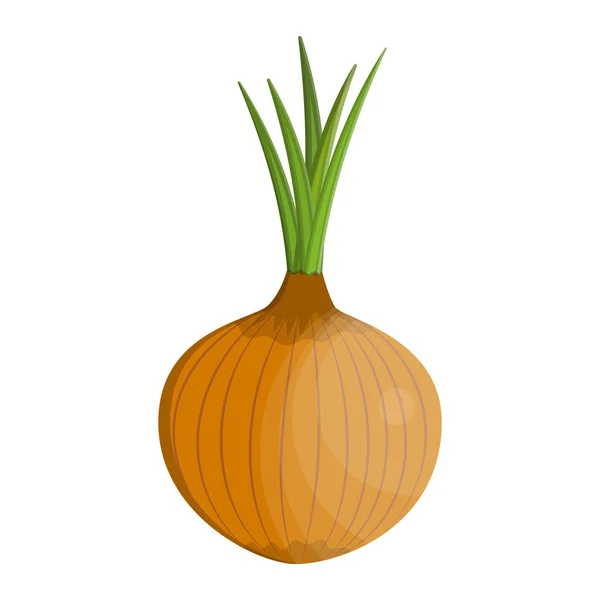 Icono aislado de cebolla vegetal fresca — Vector de stock