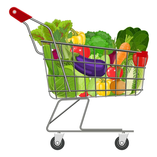 Full supermarket shopping cart — Stock Vector