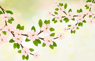 Pembe bahar çiçeği ile çiçeklenme şube vektör.