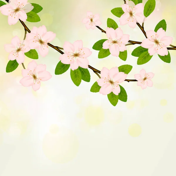 Bloeiende tak vector met roze lente bloesem. — Stockvector