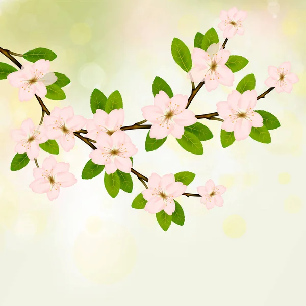 Bloeiende tak vector met roze lente bloesem. — Stockvector