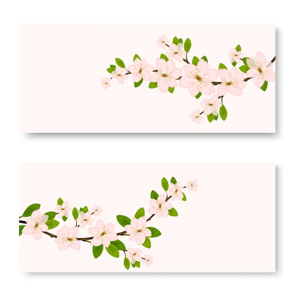 Dos pancartas con flores Sakura ornamentales de color rosa — Archivo Imágenes Vectoriales