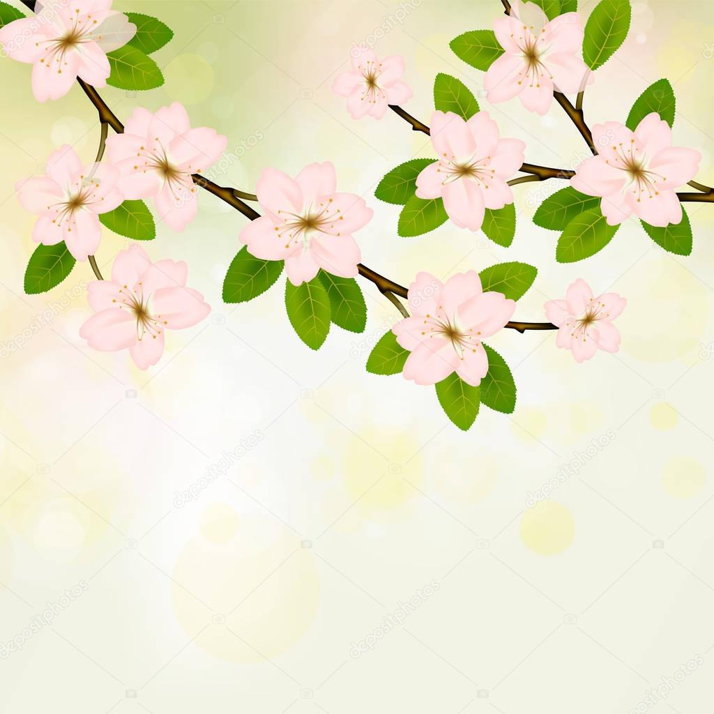 Blooming branch vector with pink spring blossom.