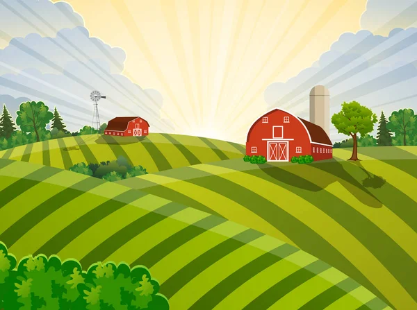 Cartoon farm green seeding field, — Stock Vector
