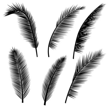 Palm kümesi siluetleri bırakır