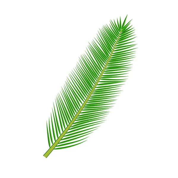 Concediu tropical de palmier — Vector de stoc