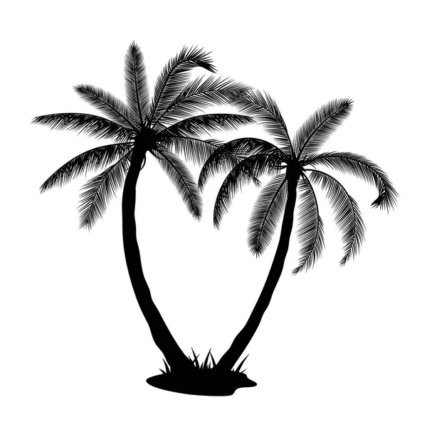 A palm tree silhouettes — Stock Vector