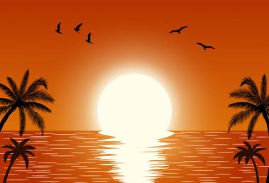 Siluet palmiye ağacı sahilde