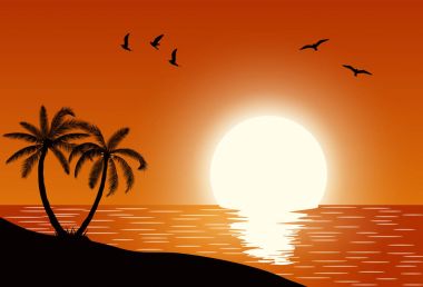 Siluet palmiye ağacı sahilde