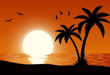 Siluet palmiye ağacı sahilde