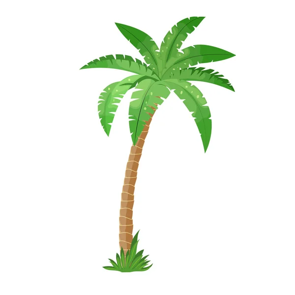 Una palmera — Vector de stock