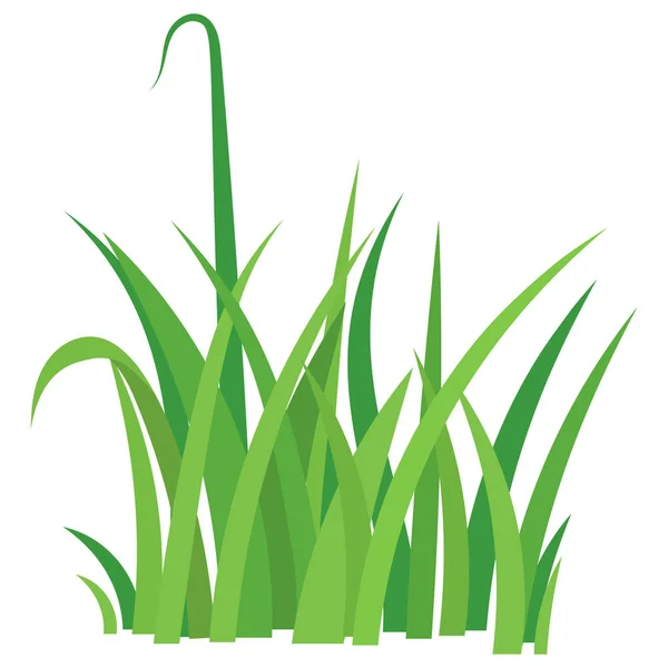 Fragment av ett grönt gräs. — Stock vektor