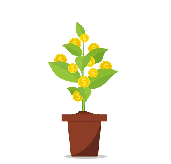 Árvore de dinheiro em vaso de flores — Vetor de Stock