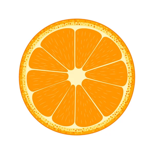 Die Hälfte der Früchte. orange. — Stockvektor
