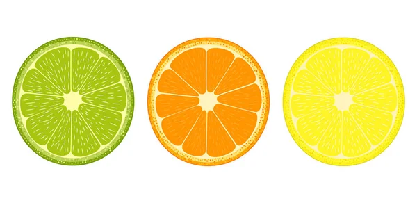 Zitrusfruchtscheiben-Symbol — Stockvektor