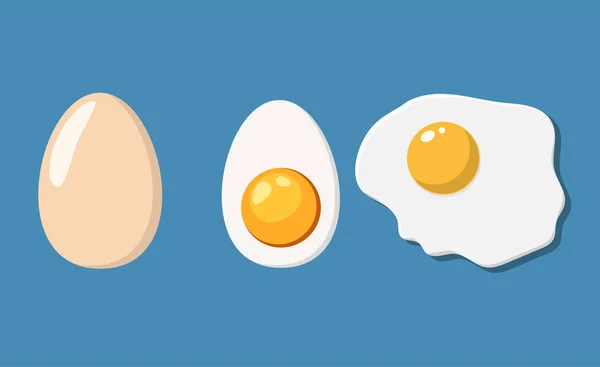 Gebakken, de helft en eieren in de schaal. — Stockvector